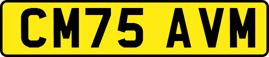 CM75AVM