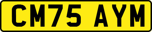 CM75AYM