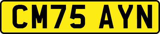 CM75AYN