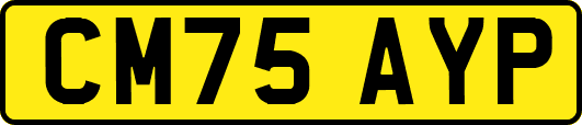 CM75AYP
