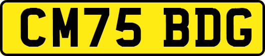 CM75BDG