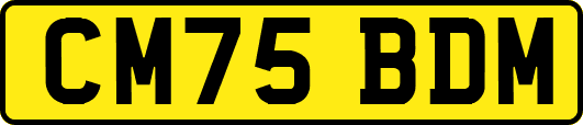 CM75BDM