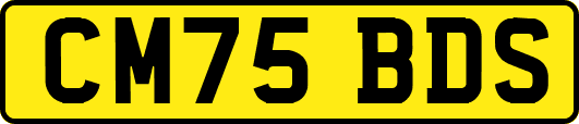 CM75BDS