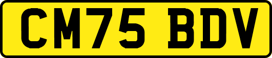 CM75BDV