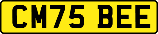 CM75BEE