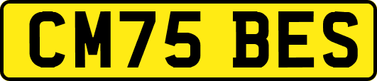 CM75BES