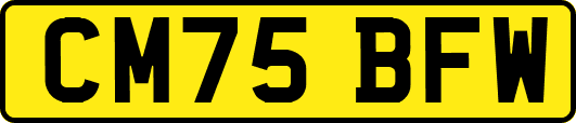 CM75BFW