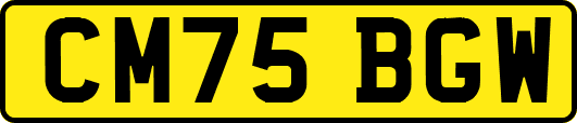 CM75BGW