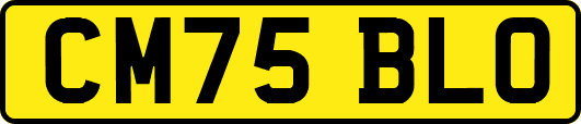 CM75BLO