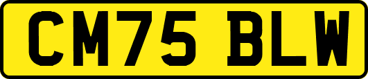 CM75BLW