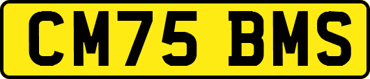CM75BMS