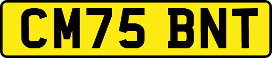 CM75BNT