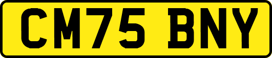 CM75BNY