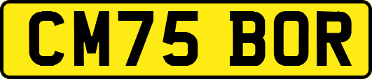 CM75BOR