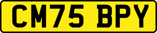 CM75BPY