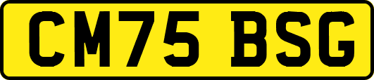 CM75BSG