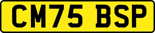 CM75BSP