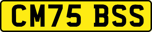 CM75BSS