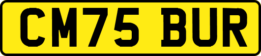 CM75BUR