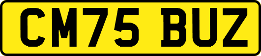 CM75BUZ