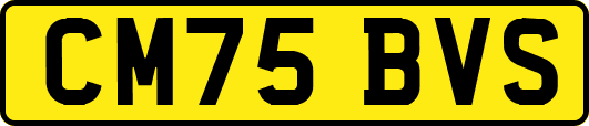 CM75BVS