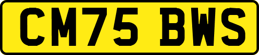 CM75BWS