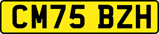 CM75BZH
