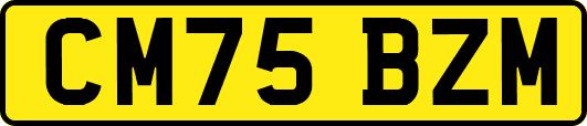 CM75BZM
