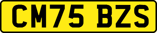 CM75BZS