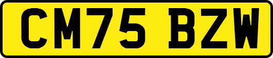 CM75BZW