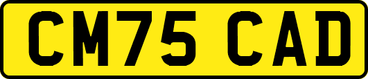 CM75CAD