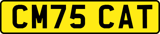 CM75CAT