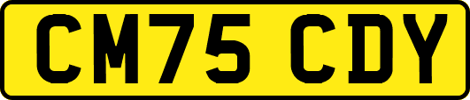 CM75CDY
