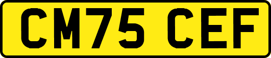 CM75CEF