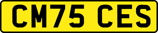 CM75CES