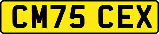 CM75CEX