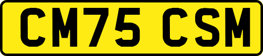CM75CSM