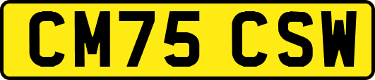CM75CSW