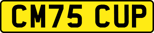 CM75CUP