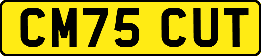 CM75CUT