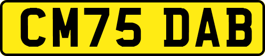 CM75DAB
