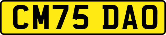 CM75DAO