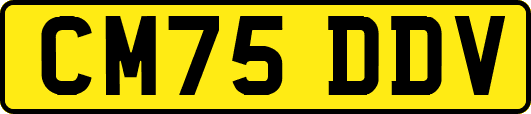 CM75DDV