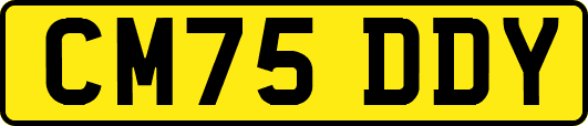 CM75DDY