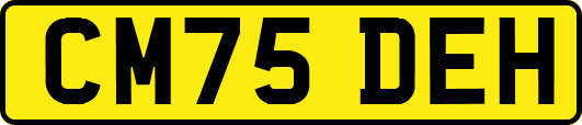 CM75DEH