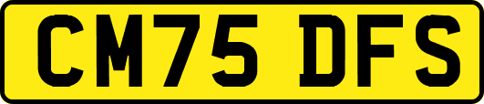 CM75DFS