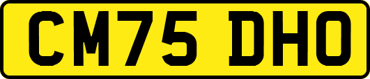 CM75DHO