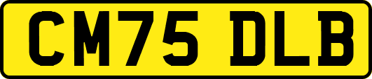 CM75DLB