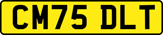 CM75DLT