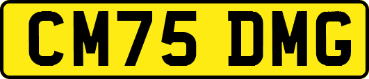 CM75DMG